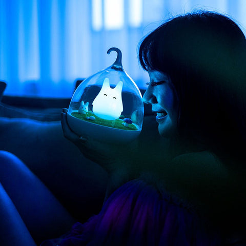 Ultimate Touch Sensor LED Nightlight